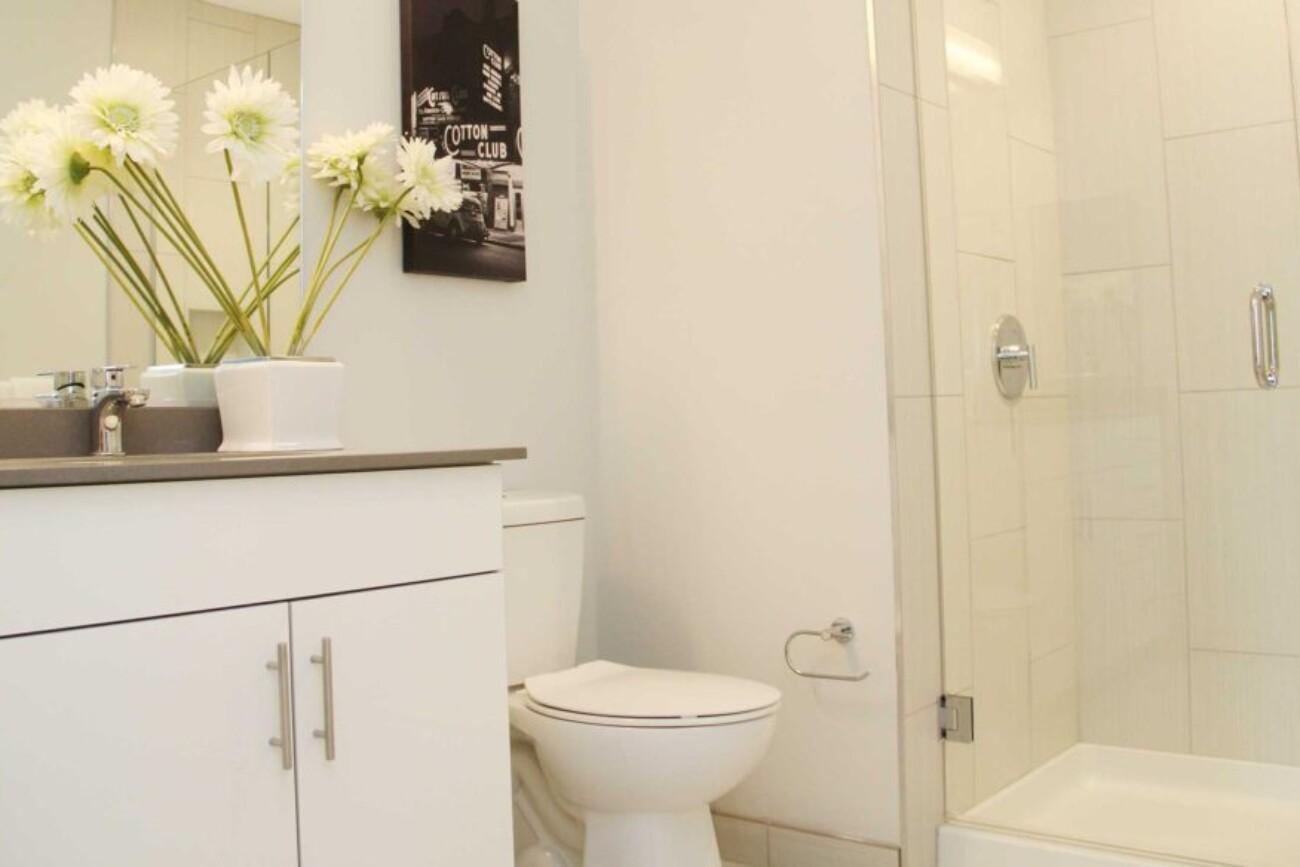 Hathaway Lofts Master Bathroom